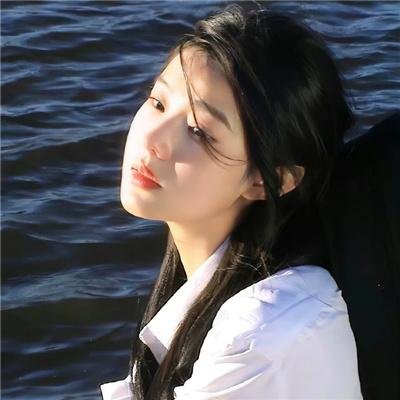 三只流浪猫