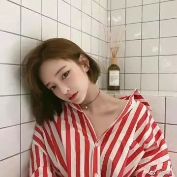 玫瑰的棋局